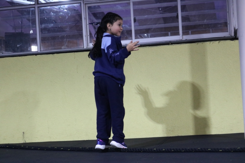 Día de la Actividad Física